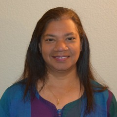 Dinali Dhammapala Capstone Reflection