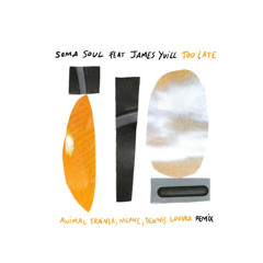 Premiere: Soma Soul feat. James Yuill - Too Late (Animal Trainer Remix) [AZZUR]