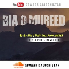 Bia O Mureed [ Slowed + Reverb ]  By Ali Adil  Poet Gull Khan Naseer