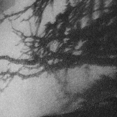 Mistral (prod. Haytt)