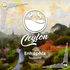 Entrophix - Tsunami [High Tea Music]