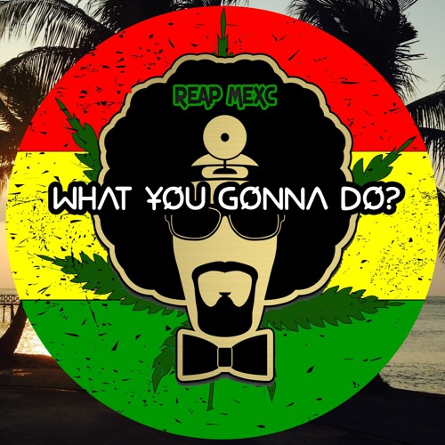 REAP MEXC - What You Gonna Do?