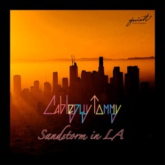 Cableguy Tommy - Sandstorm