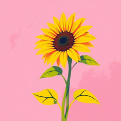 Sunflower Sessions 01
