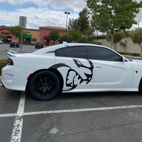 D Savage - Never Lackin (unreleased)