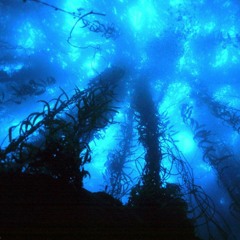 Underwater