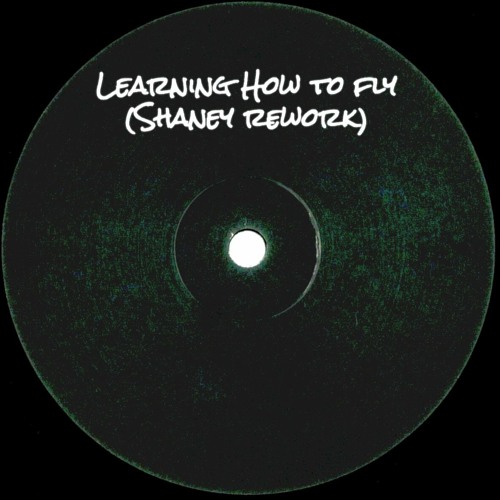 RICØ - Learning How To Fly (Shaney Rework)