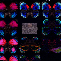 Yume 2kki OST - Glitched Butterfly Sector