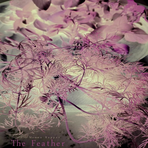 The Feather