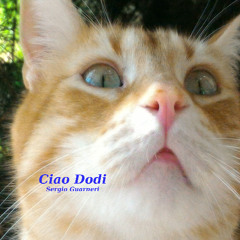 Ciao Dodi