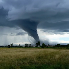 Storm Gazin