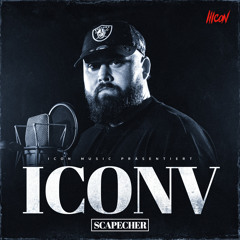Icon V