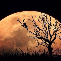 Es wird sich flüssig ernährt 933 mix