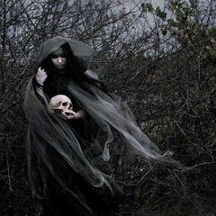 THE EVIL IS IN THE FOREST