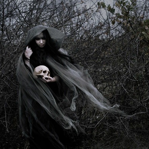 THE EVIL IS IN THE FOREST