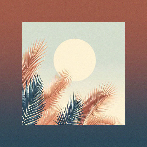under the palm trees