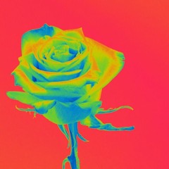 The Stars Don't Shine Interlude