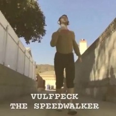 The Speedwalker /// THE FEARLESS FLYERS feat. Kary Brown