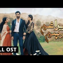 Tera Ghum Aur Hum | Full OST | HUM TV | Drama