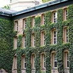 ပါပီယွန်