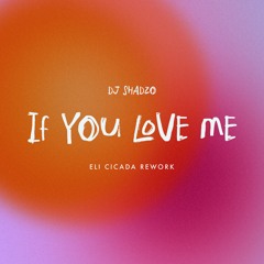 DJ Shadzo - If You Love Me (Eli Cicada Rework)