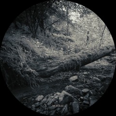 MORTA03 | Acidupdub - Interstellar Medium EP