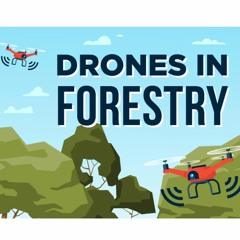 Episode 30 - Awards, VR & Drones ... ForestLearning takes students from classroom to forest! - Pt 2