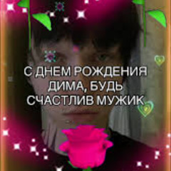 дима плаппи