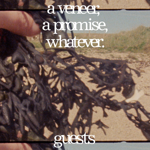 A Veneer, A Promise, Whatever