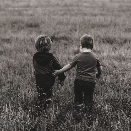 الضريبة - هاله ربيع