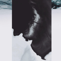 PRÈMIÉRE: Dario Dea - Dance of the Sea (Steady State Remix) [Nein Records]