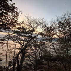 Físsil (Difícil Respirar) Rev