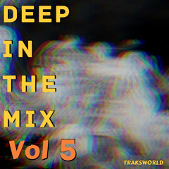 DEEP IN THE MIX Vol 5