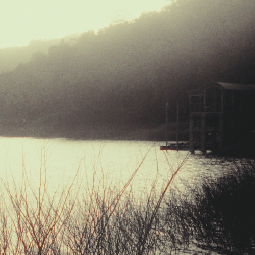 If It Only Gets Better