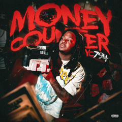 Yc794 Money Counter