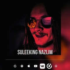 Suleeking & Violenur - ЗАДОЛБАЛСЯ!!!