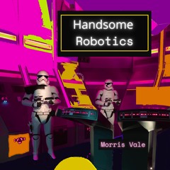 Handsome Robotics