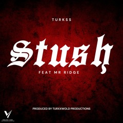 Turkss - Stush feat Mr Ridge (SXM Soca 2024)