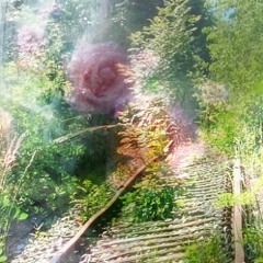 A Train Rail Into Nothing