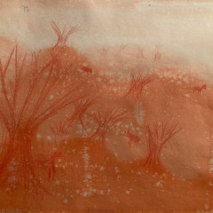 The Great Canyon Fire In General
