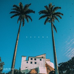 Savana - Vendredi | Free Background Music | Audio Library Release