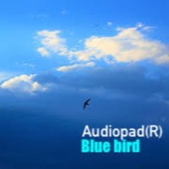 Blue Bird- Audiopad