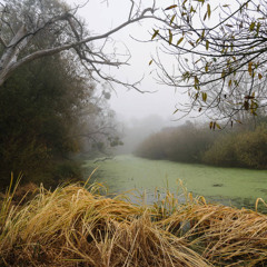 DIRECCION (Demo) - No Vocals