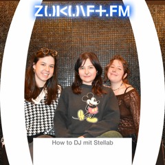 ZUKUNFT.FM - In the Mix - Stellab