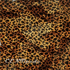 OKIN $IR ROC - CENTipede