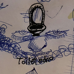 toilet echo3