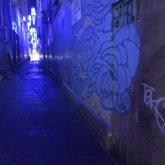 Laneway Mix Series Vol 14 Deep House and Tech House Vinyl Mix