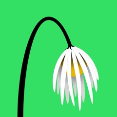 Ungreen thumb