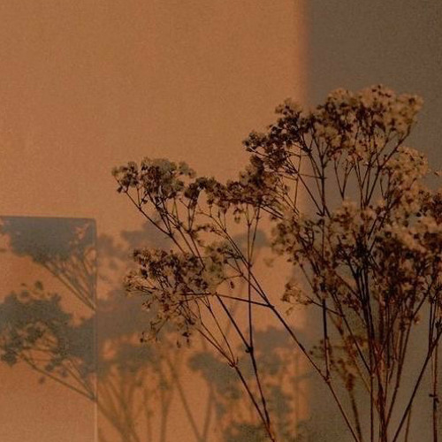 Yếu đuối - Hoàng Dũng (cover)