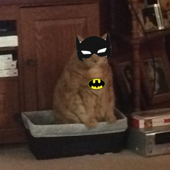 Bruce Wayne (prod. Possibility)